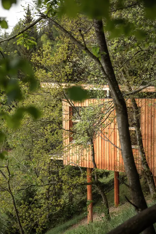 Baumhaus — Haus auf Stelzen