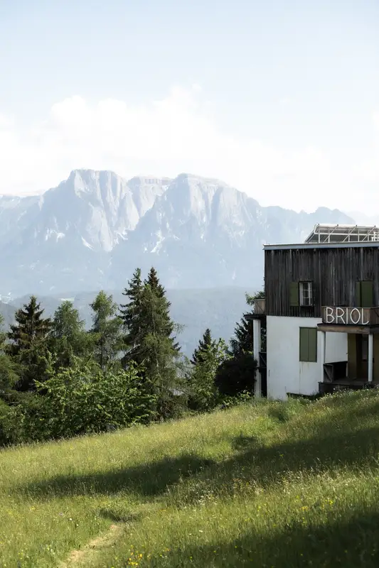 Briol — das klassische BRIOL Bild das hängen bleibt