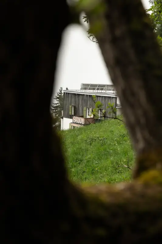Briol — Zwischen grün und grau